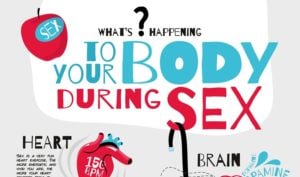 what sex does to your body