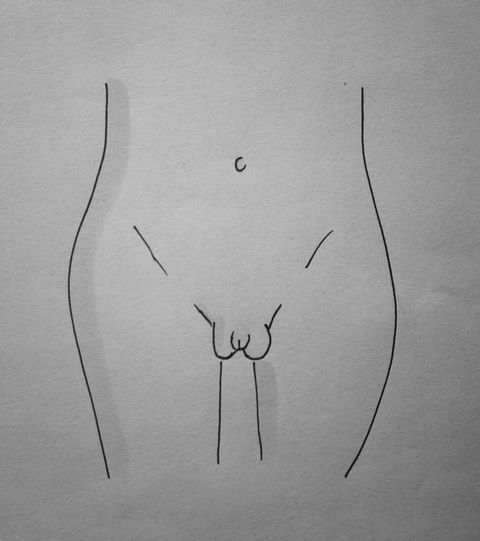 vagina prominent outer lips
