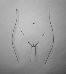 vagina small closed inner outer lips