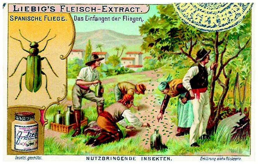 collecting spanish flies trade card