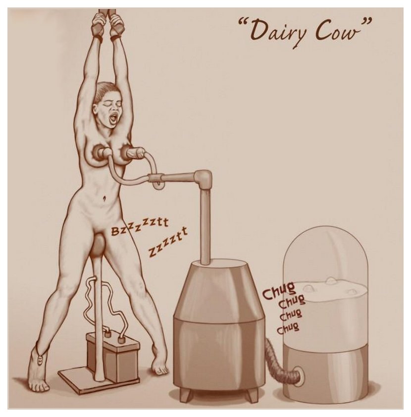 human dairy cow on a milking machine