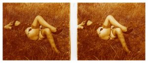 splendor in the grass nude stereocard